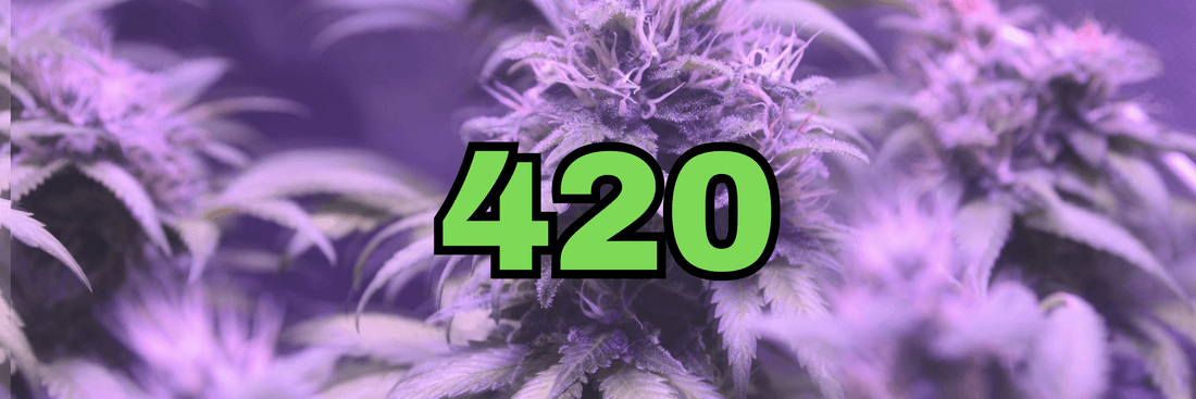 What is 420? The Story Behind the Stoner Holiday and Why It Still Matters