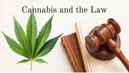 Navigating UK Cannabis Laws: Your Essential Guide to Staying Legal