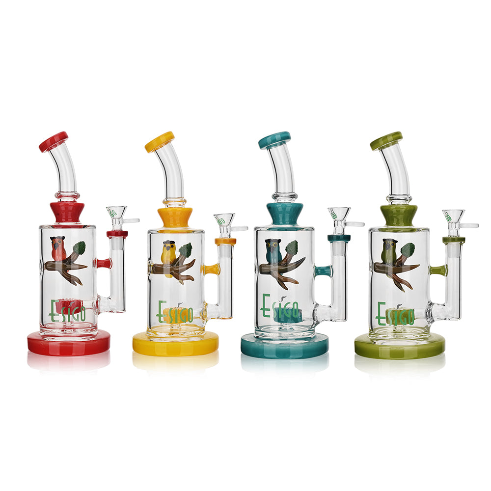 ESIGO Bird Matrix Perc Bong | 10 Inch
