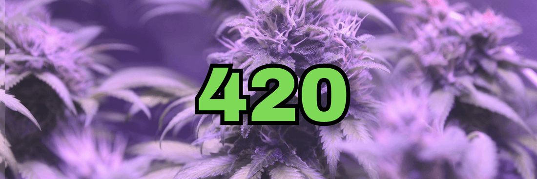 420 Explained: History, Meaning & Why It Matters