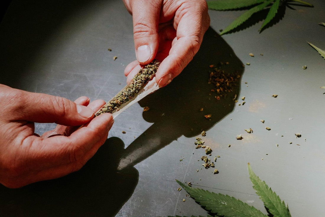 How to Roll a joint- Step by Step Guide to Roll a joint - A Bong Shop