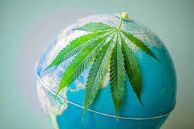 The History of Cannabis as Medicine - From Ancient Civilisations to The Modern Therapeutic Wonder - A Bong Shop
