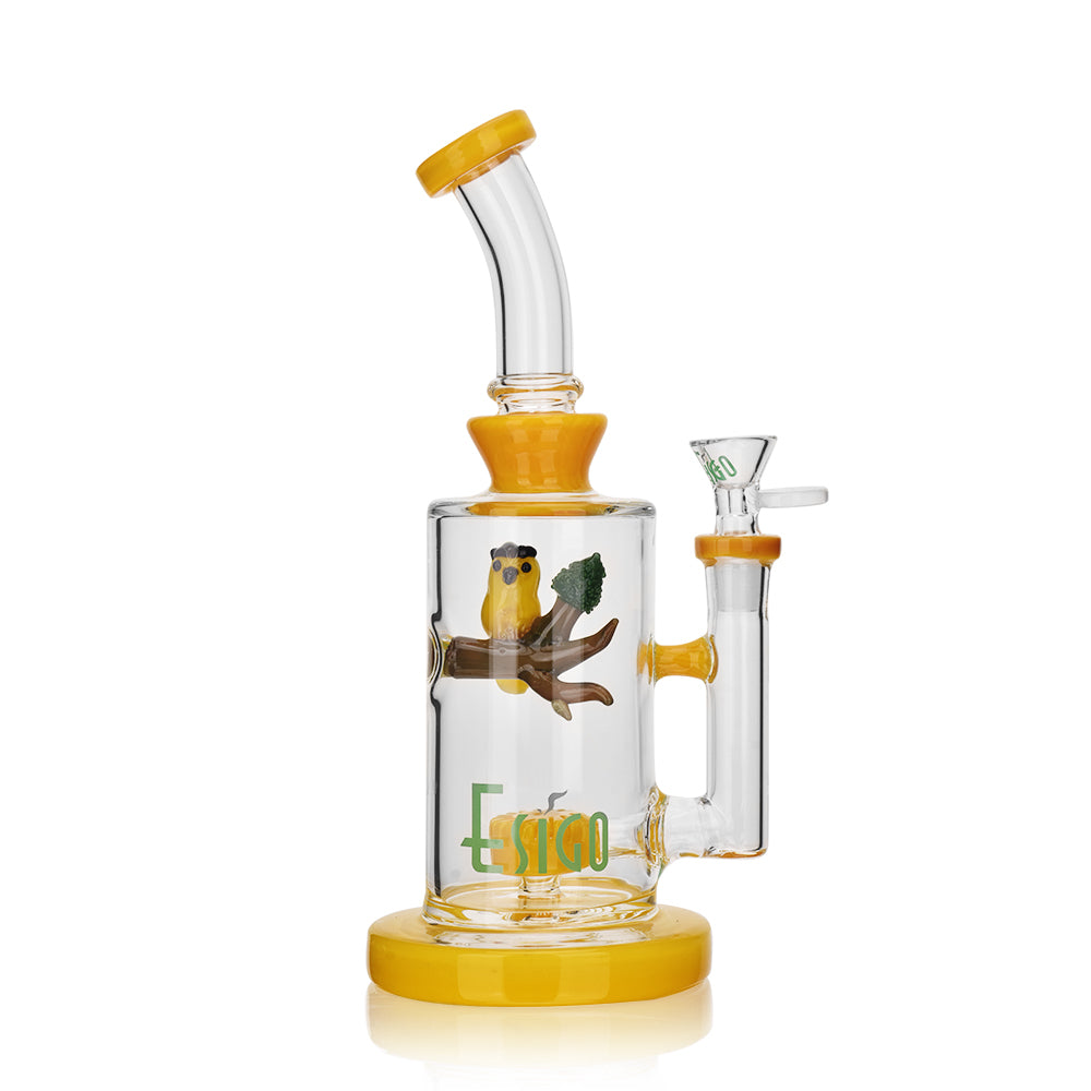 ESIGO Bird Matrix Perc Bong | 10 Inch